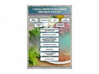 Стенд "Схема приготовления мясных котлет" - «globural.ru» - Новосибирск