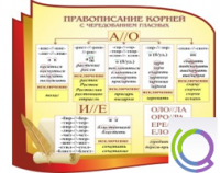 Стенд "Правописание корней с чередованием гласных" - «globural.ru» - Новосибирск