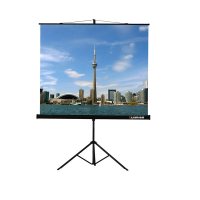 Проекционный экран на штативе Lumien Eco View (LEV-100105) 160x160 см - «globural.ru» - Новосибирск