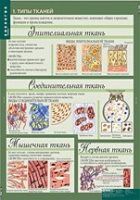Биология 8-9 класс. Человек. (комплект таблиц) - «globural.ru» - Новосибирск