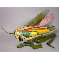 Модель "Кузнечик" - «globural.ru» - Новосибирск