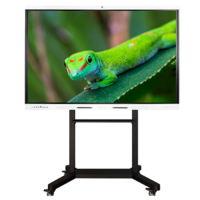 Интерактивный комплекс Geckotouch ​​​​​​​75RK - «globural.ru» - Новосибирск