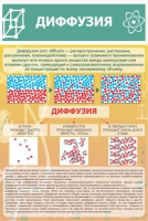 Стенд "Диффузия" - «globural.ru» - Новосибирск