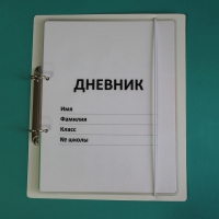 Дневник школьника (с полным набором карточек) - «globural.ru» - Новосибирск