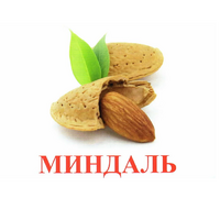 Карточки Домана "Орехи-Ягоды-2" - «globural.ru» - Новосибирск
