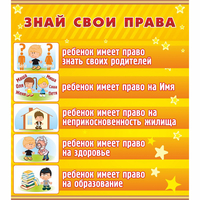 Стенд "Знай свои права" - «globural.ru» - Новосибирск