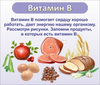 Стенд "Витамин В" - «globural.ru» - Новосибирск