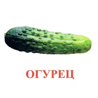 Карточки Домана "Овощи-Зелень-1" - «globural.ru» - Новосибирск
