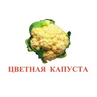 Карточки Домана "Овощи-Зелень-2" - «globural.ru» - Новосибирск