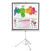 Экран на штативе DSKD-1104 - «globural.ru» - Новосибирск
