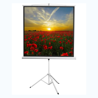 Экран на штативе DSKD-1105  - «globural.ru» - Новосибирск