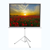 Экран на штативе DSKD-4303 - «globural.ru» - Новосибирск