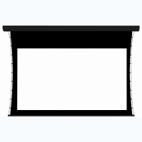 Экран настенный с электроприводом DSTPX-16915 - «globural.ru» - Новосибирск