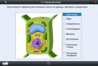 Интерактивные курсы. Биология 9 класс. Расширенный - «globural.ru» - Новосибирск