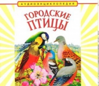 CD "Аудиоэнциклопедия. Городские птицы" - «globural.ru» - Новосибирск