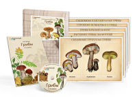 Комбинированное наглядное пособие «Грибы» - «globural.ru» - Новосибирск