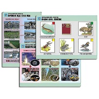 Комплект таблиц для  начальной школы "Окружающий мир. Экология" - «globural.ru» - Новосибирск