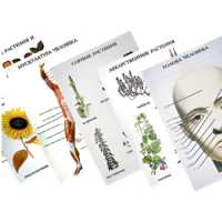 Таблицы по природоведению 1-3 класс - «globural.ru» - Новосибирск