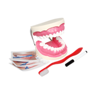 Игровой комплект "Чистим зубы" - «globural.ru» - Новосибирск