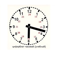 Часовой циферблат раздаточный - «globural.ru» - Новосибирск