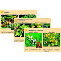 Гербарий фотографический "Ядовитые растения" - «globural.ru» - Новосибирск