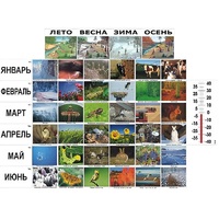 Фенологические наблюдения - «globural.ru» - Новосибирск