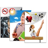 Модель-аппликация "Здоровье человека" - «globural.ru» - Новосибирск