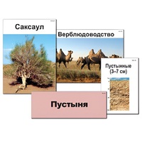 Модель-аппликация "Природные зоны России" - «globural.ru» - Новосибирск