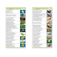 Комплект карточек (10) "Обучающий калейдоскоп. Природа" - «globural.ru» - Новосибирск