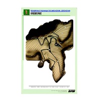 Рельефная таблица "Археоптерикс" (формат А1, матовое ламинир.) - «globural.ru» - Новосибирск