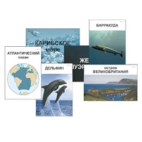Модель-аппликация "Океаны. Знакомство" (ламинированная) - «globural.ru» - Новосибирск