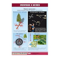 Таблица демонстрационная "Ориентирование на местности" (винил 70х100) - «globural.ru» - Новосибирск