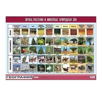 Таблица демонстрационная "Почвы, растения и животные природных зон" (винил 70x100) - «globural.ru» - Новосибирск