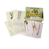 Гербарий "Систематика растений. Семейство Бобовые. Злаки" (раздаточный) - «globural.ru» - Новосибирск