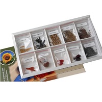 Коллекция "Плоды сельскохозяйственных растений" (вариант 2) - «globural.ru» - Новосибирск