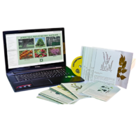 Гербарий натурально-интерактивный "Лекарственные растения" - «globural.ru» - Новосибирск