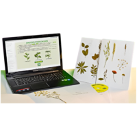 Гербарий натурально-интерактивный "Морфология растений" - «globural.ru» - Новосибирск