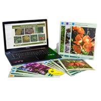 Гербарий натурально-интерактивный "Основные группы растений. Грибы. Лишайники" - «globural.ru» - Новосибирск