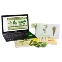 Гербарий натурально-интерактивный "Растительные сообщества. Лес" - «globural.ru» - Новосибирск