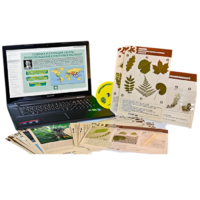 Гербарий натурально-интерактивный к курсу основ общей биологии - «globural.ru» - Новосибирск