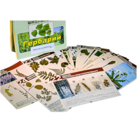 Гербарий к курсу основ общей биологии - «globural.ru» - Новосибирск