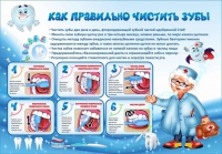 Стенд "Как правильно чистить зубы" - «globural.ru» - Новосибирск