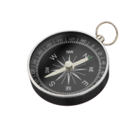 Компас (вариант 1) - «globural.ru» - Новосибирск