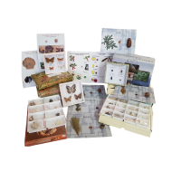 Комплект коллекций демонстрационный - «globural.ru» - Новосибирск