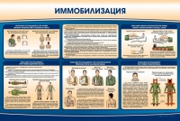 Стенд "Иммобилизация" - «globural.ru» - Новосибирск