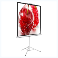 Экран на штативе DSKD-1106 - «globural.ru» - Новосибирск