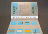 Коллекция "Лен для начальной школы" - «globural.ru» - Новосибирск