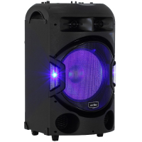 Переносная мобильная акустическая система с возможностью подключения микрофона и проигрывания аудиофайлов с флеш-накопителя мощностью не менее 250 Вт - «globural.ru» - Новосибирск