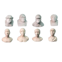 Набор палеонтологических муляжей - «globural.ru» - Новосибирск