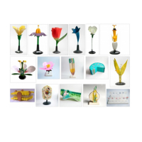 Комплект ботанических моделей демонстрационный - «globural.ru» - Новосибирск